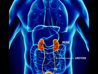 Chirurgia oncologica gallery 1