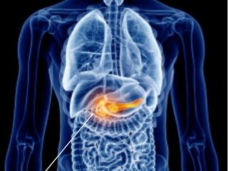 Chirurgia oncologica gallery 3